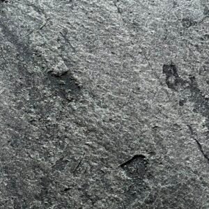SIDABRINIS KEPSNYS - SILVER STEAK
