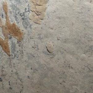 DYKUMOS SMĖLIO SPALVOS - DESERT BEIGE