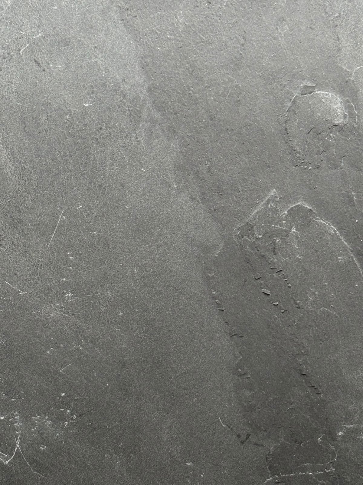 JUODMEDŽIO GYSLA - EBONY VEIN